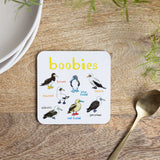 Sarah Edmonds Boobies Bird Coaster – illustrated design