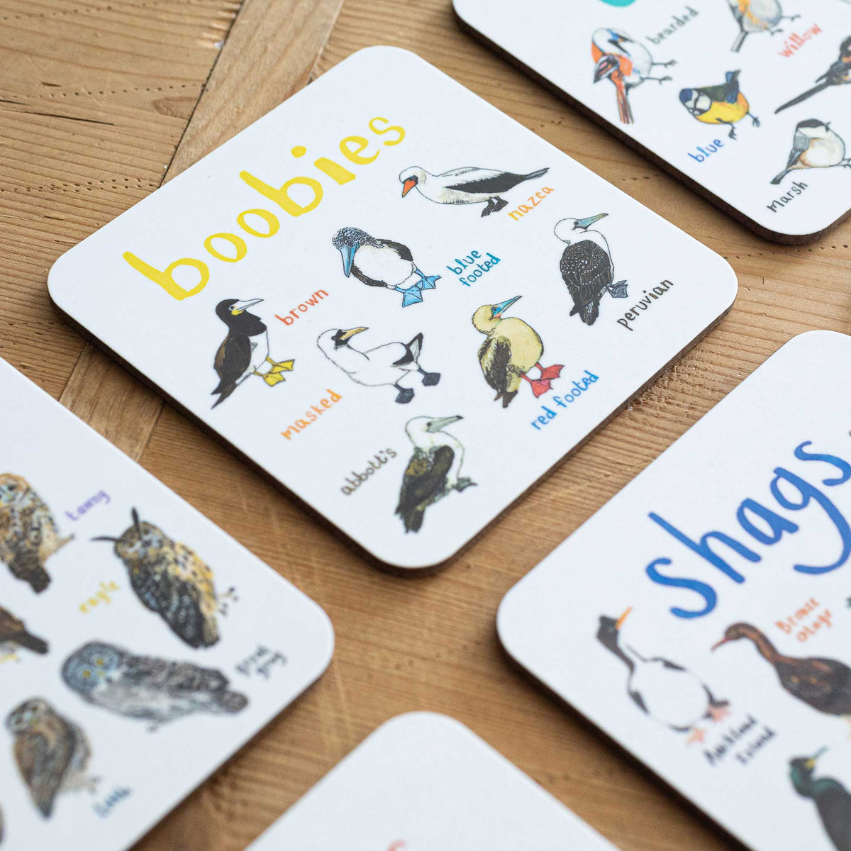 Sarah Edmonds Boobies Bird Coaster – illustrated design