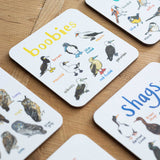 Sarah Edmonds Boobies Bird Coaster – illustrated design